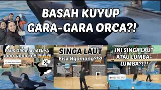 BASAH KUYUP GARA-GARA ORCA SEBERAT 4000KG?!?!
