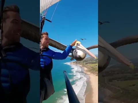 This Bird Let Me Pet Him While Flying!