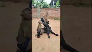 Amazing Video Best SokYaa,OG, Pao & Mom Are Famous Around The World #shorts