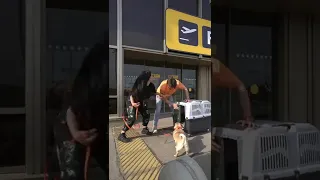 КАК ДУМАЕТЕ, ДЖОНИ ПРАВИЛЬНО СДЕЛАЛ?