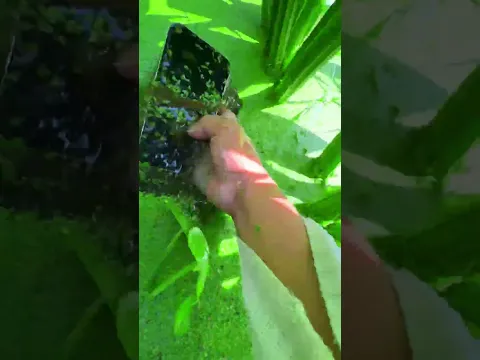 the beauty of nature - You didn't think it was that beautiful #satisfying
