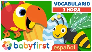 Huevos Sorpresa con Larry el Loro | Aprender Nombres de Animales para Niños | BabyFirst Español