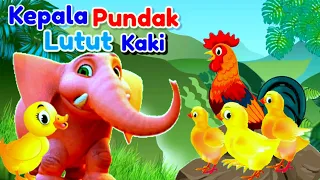 Lagu Anak 🇲🇨 Kepala Pundak Lutut Kaki !! Animasi Ayam Bebek Gajah Dan Kucing