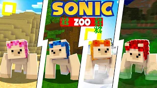 NEW Pet Hedgehog Zoo! [107] | Sonic The Hedgehog 2 | Minecraft