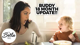 Buddy's 18-MONTH UPDATE: Big Mama's Boy!