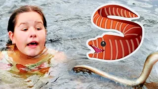 What's In The Water?!  |  Sweden🇸🇪 6