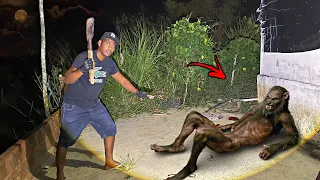 O LOBISOMEM CAIU NA ARMADILHA DE PREGOS - Cenas Chocantes! 🌕🐺