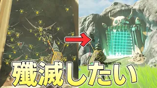 洞窟から出てくるキースの群れを殲滅すれば目玉が大量に手に入るのか【ゼルダの伝説ティアーズオブザキングダム実況】