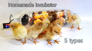 5 ideas to make an incubator.