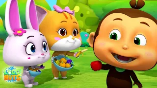 Charlie na kiwanda cha matunda | Mfululizo animated | Kids Tv Africa | Katuni za watoto