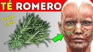 ENFERMEDADES que CURAN con TÉ de ROMERO (CÓMO TOMARLO)