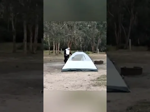 The ending 🤣