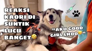KAORI VAKSIN TAHUNAN (LANGSUNG KABUR PAS LIAT RUANGAN DOKTER)