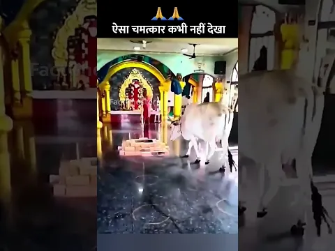 🙏 साईं बाबा के मंदिर में हुआ अद्भुत चमत्कार Live 🔴 | #shorts