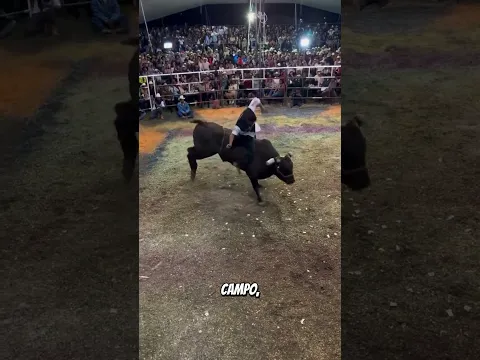 ESTE TORO NO PUEDO CON TANTA HABILIDAD!