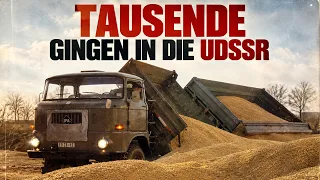 Welche DDR-Lkw fuhren wirklich in der Sowjetunion?