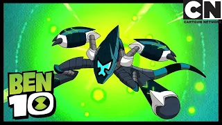 RAINHA DAS ABELHAS | Ben 10 em Português Brasil | Cartoon Network