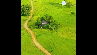 سورة يونس - الآية 81 | تلاوة القرآن