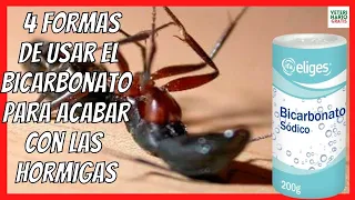🔴 ¿CÓMO ELIMINAR Y ACABAR CON LAS HORMIGAS EN CASA PARA SIEMPRE? 🔴 BICARBONATO PARA LAS HORMIGAS
