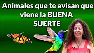 "¡Animales que te avisan que viene la BUENA SUERTE cuando los ves! 🐾🍀"