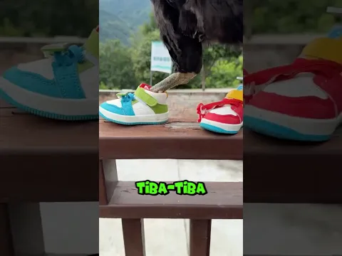 Karna kesalahan sedikit, Ayamnya harus pergi untuk selamanya🥹