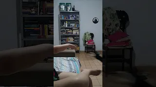 Gato pensa que é Cachorro