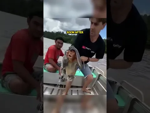 This Little Monkey Rescued from a river!!!