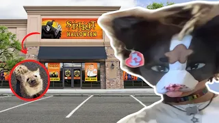 Public Gearing at Spirit Halloween!!!!