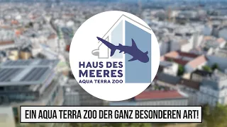 Haus des Meeres in Wien  | Ein Aqua Terra Zoo der ganz besonderen Art!