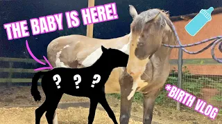 THE BABY IS HERE! | Birth Vlog ♡