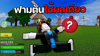 Blox Fruits จากกากไปเก่ง แต่ใช้ได้แค่ผลเดียว