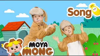 English Song｜BINGO｜Baby Dance｜Nursery Rhymes｜Kids Songs