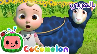 Cocomelon Arabic | أغاني كوكو ميلون بالعربي | اغاني اطفال ورسوم متحركة | أغنية سيدي الخروف