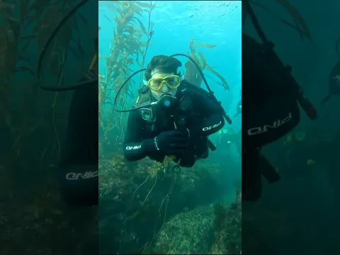 Buceando en Chubut Argentina