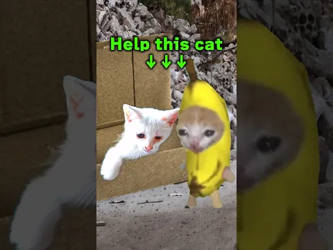 The Story of Banana Cat😹🍌#22｜Sick cat💊