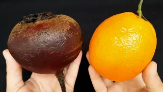 LA PREMIÈRE RECETTE ‼️Pour Renforcer l'Immunité, Stimuler la Circulation Sanguine, Purifier le Corps