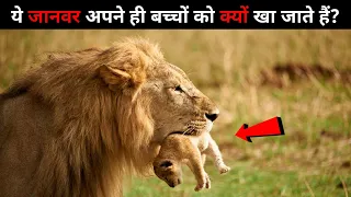 अपने ही बच्चों को क्यों खा जाते हैं ये जानवर? Wildlife Adventure In हिन्दी।