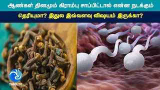 ஆண்கள் தினமும் கிராம்பு சாப்பிட்டால் என்ன நடக்கும் தெரியுமா? இதுல இவ்வளவு விஷயம் இருக்கா?- Tamil TV