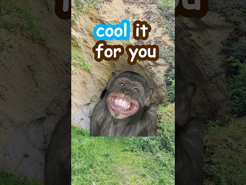 Can a Fan Really Cool Your Phone? #funny #memes