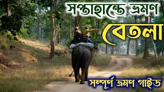বেতলা কোথায় কিভাবে যাবেন কত খরচ সম্পূর্ণ গাইড | Betla Jungle safari | Betla Forest | Palamu Kila