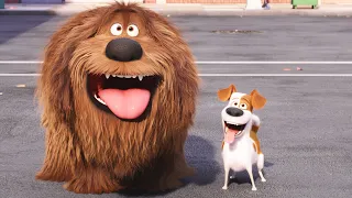Mascotas adorables durante 20 minutos 🥺 La Vida Secreta de tus Mascotas |Dibujos Animados en Español