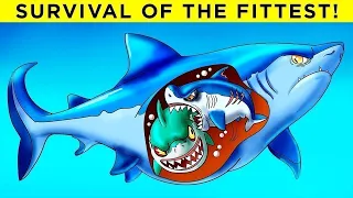 भगवान ऐसी माएँ किसी को भी ना दे | Worst Animal Parents