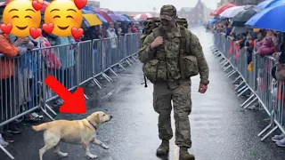 🐶🐱🥹 After Years Apart — Pets Overjoyed When Their Soldier Comes Home ❤️ #cat #dog