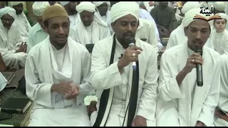 مديح بأصوات شجية ترد الروح صلوات الله تغشى أحمدا خير البرية - الختمية