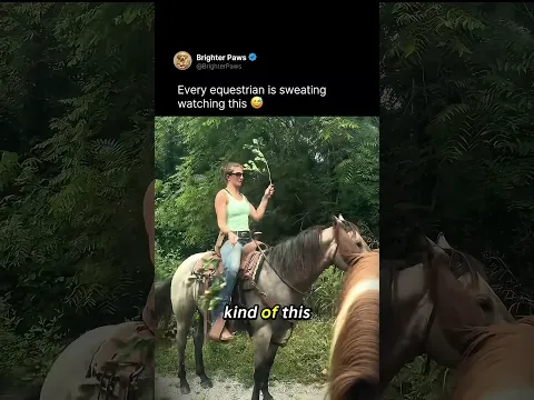 Every equestrian is sweating watching this 😅