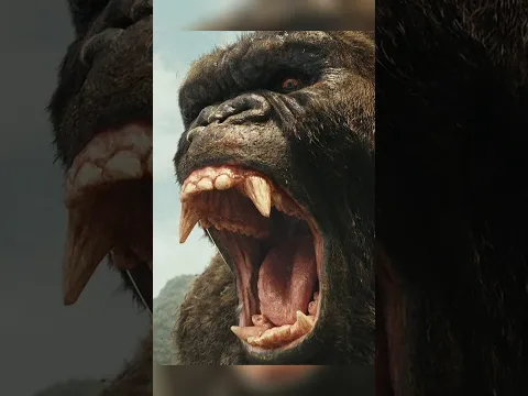 Kong & Godzilla United to defeat mechagodzilla🔥🔥 ft. hymn for weekend ✨ Godzilla vs Kong