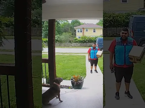 Nervous Delivery Guy Meets A Pal