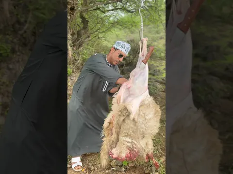 نمبر1