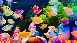 🐠 Relaxing Colorful Tropical Fish Aquarium | Peaceful Underwater World 4K | Part 14