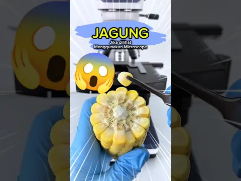 PASTI KAGET! Isinya Ternyata Ribuan "Tangki Cairan" Kuning! 🌽💦